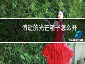 消逝的光芒箱子怎么开