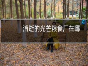 消逝的光芒粮食厂在哪