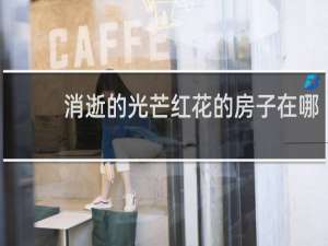 消逝的光芒红花的房子在哪