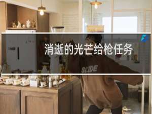 消逝的光芒给枪任务