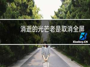 消逝的光芒老是取消全屏