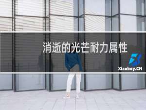 消逝的光芒耐力属性