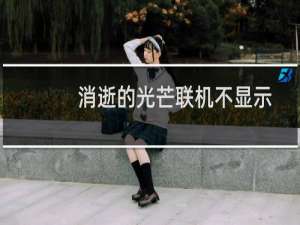 消逝的光芒联机不显示