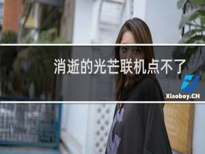消逝的光芒联机点不了