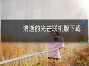 消逝的光芒联机版下载