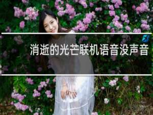 消逝的光芒联机语音没声音