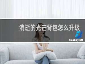 消逝的光芒背包怎么升级
