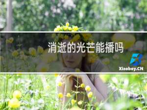 消逝的光芒能播吗