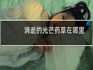消逝的光芒药草在哪里