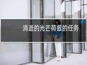 消逝的光芒荷兹的任务