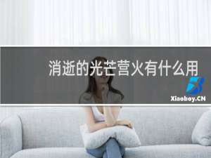 消逝的光芒营火有什么用