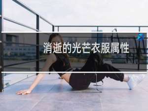 消逝的光芒衣服属性