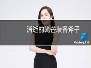 消逝的光芒装备斧子
