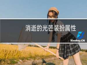 消逝的光芒装扮属性