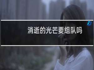 消逝的光芒要组队吗