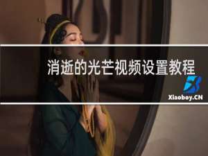 消逝的光芒视频设置教程