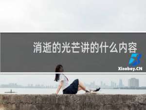 消逝的光芒讲的什么内容