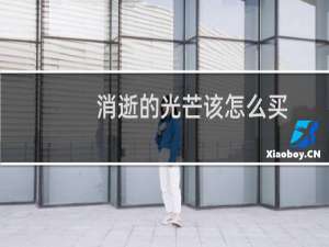 消逝的光芒该怎么买