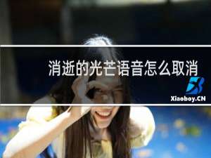 消逝的光芒语音怎么取消