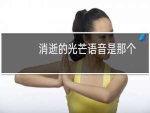 消逝的光芒语音是那个