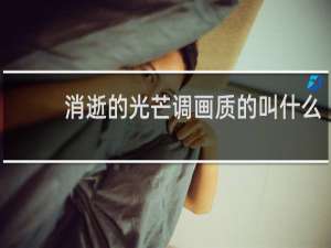 消逝的光芒调画质的叫什么