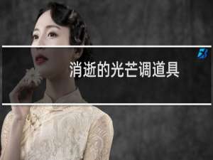 消逝的光芒调道具