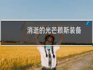 消逝的光芒赖斯装备
