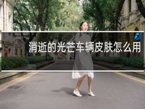 消逝的光芒车辆皮肤怎么用