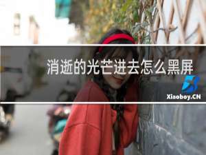 消逝的光芒进去怎么黑屏