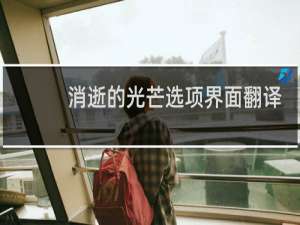 消逝的光芒选项界面翻译