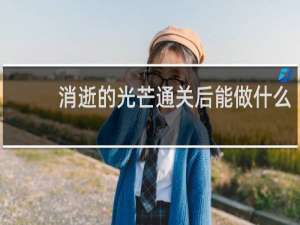 消逝的光芒通关后能做什么