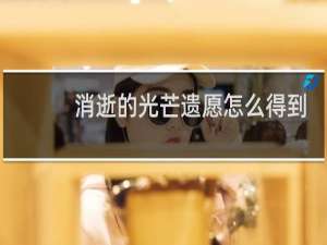 消逝的光芒遗愿怎么得到