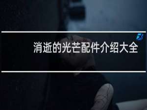 消逝的光芒配件介绍大全