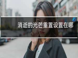 消逝的光芒重置设置在哪