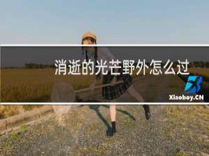 消逝的光芒野外怎么过