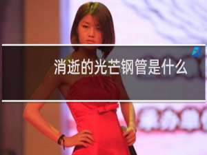 消逝的光芒钢管是什么
