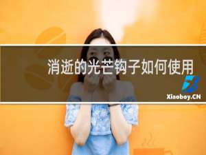 消逝的光芒钩子如何使用