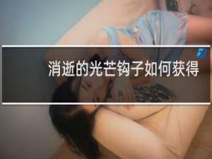 消逝的光芒钩子如何获得