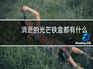 消逝的光芒铁盒都有什么