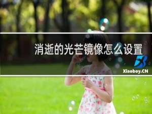 消逝的光芒镜像怎么设置