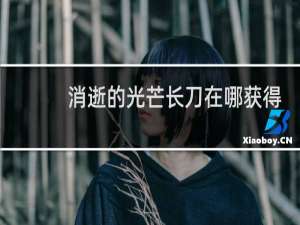 消逝的光芒长刀在哪获得