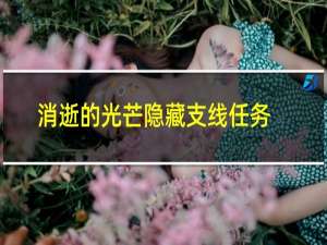 消逝的光芒隐藏支线任务