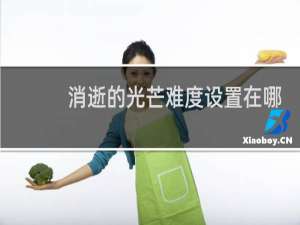 消逝的光芒难度设置在哪