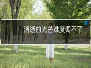 消逝的光芒难度调不了