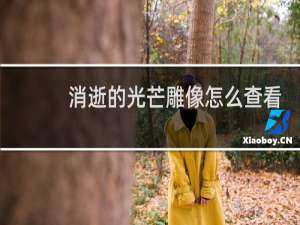 消逝的光芒雕像怎么查看