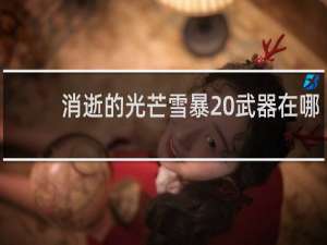 消逝的光芒雪暴 武器在哪