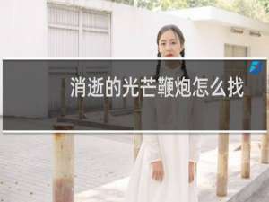 消逝的光芒鞭炮怎么找