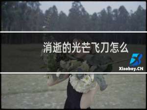 消逝的光芒飞刀怎么