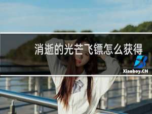 消逝的光芒飞镖怎么获得