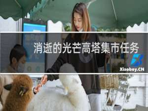 消逝的光芒高塔集市任务